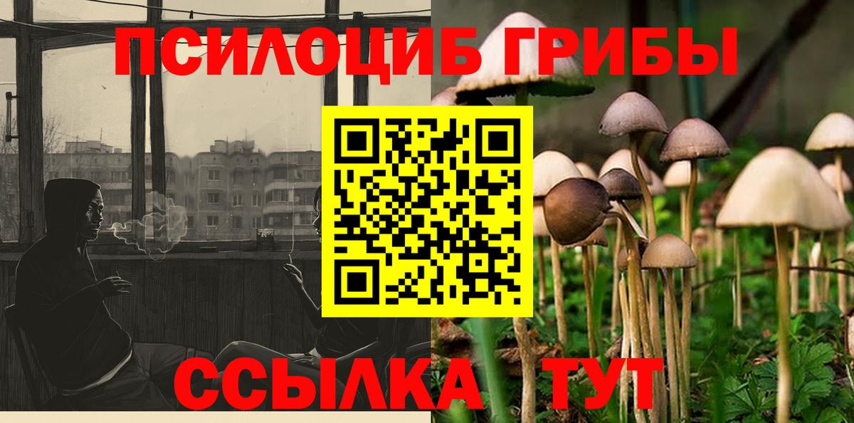 Псилоцибиновые грибы прущие грибы  Псилоцибиновые грибы Psilocybe  где продают   Губаха  Вход с VPN 